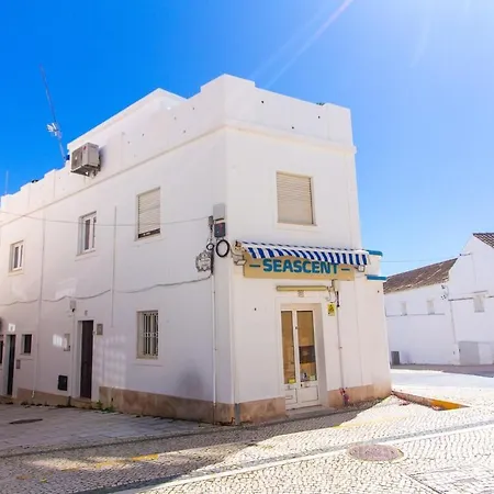 Seaside Tiny Treasure *